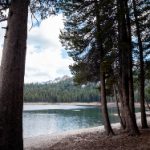 在天天欢乐德州中,感受扑克牌带来的无限欢乐与挑战 1o76d