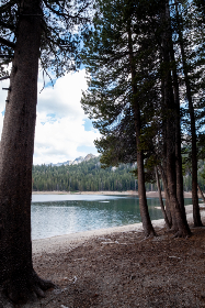 在天天欢乐德州中,感受扑克牌带来的无限欢乐与挑战 在天天欢乐德州中,感受扑克牌带来的无限欢乐与挑战