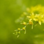 南宫系列平台NG的优势与市场前景全面探讨 a51we6z