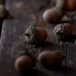 喜乐娱乐平台的魅力:如何在这里找到快乐与放松 hgfpre31k4