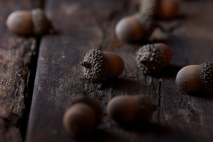 喜乐娱乐平台的魅力:如何在这里找到快乐与放松 喜乐娱乐平台的魅力:如何在这里找到快乐与放松