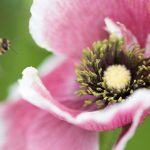 加入九游会老哥俱乐部j9,体验不一样的游戏世界 t6hku01sv