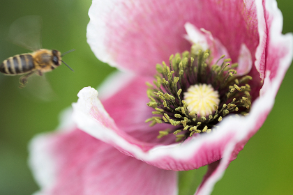 加入九游会老哥俱乐部j9,体验不一样的游戏世界 加入九游会老哥俱乐部j9,体验不一样的游戏世界