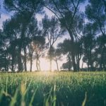 天行体育平台的优势分析:让运动爱好者尽享便捷服务 v5k66f