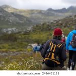 和天下体育平台官网:探索全新体育赛事直播与资讯平台 xyil2y