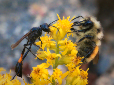 246天天开奖:每日惊喜不间断,幸运轮盘永不停歇