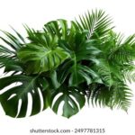 23号体彩开奖结果揭晓,最新中奖号码公布 31u487tvxx