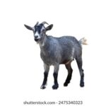 108期3D开奖号码正式公布,最新结果已揭晓 3pt0nep34