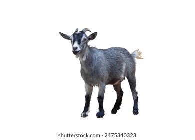 108期3D开奖号码正式公布,最新结果已揭晓