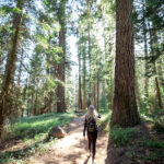 12074期开奖结果揭晓:幸运号码震撼公布 b3roa