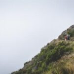 122彩票开奖网最新官方开奖结果查询 bij9z8ubjq