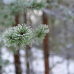 123118期开奖结果最新公布,大奖花落谁家? cpx8u