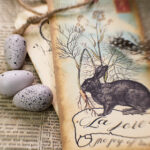 10月10号双色球开奖号码及中奖结果查询 d77h3u0p