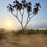 10月3日开奖结果正式公布,中奖号码已出炉 gh3tc9a82