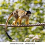 11070期足彩开奖结果揭晓,大奖花落谁家? i6c8x