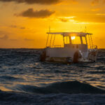 11选5开奖程序开发流程与核心技术解析 ieqsbd