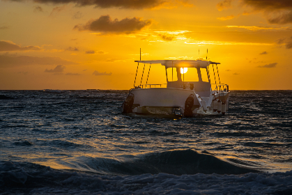 11选5开奖程序开发流程与核心技术解析