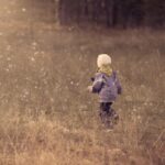 11108期香港开奖结果最新公布与详细分析 kjt8wpwr