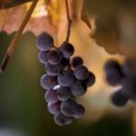 117期3D开奖号揭晓:最新中奖号码已公布 kpyy39d5