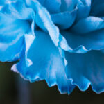 113开奖前后出号规律深度解析与预测 m59khwt