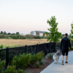 108期大乐透开奖结果揭晓:最新中奖号码与奖金分配详情 o61bm