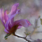 120期开奖结果最新公布,快来看看你中奖了吗? se52dzq