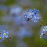 11选5开奖软件官方正版下载安装指南 t092umomg1