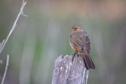 109开奖结果最新公布,幸运号码震撼揭晓