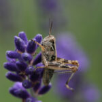 111开奖结果查询最新官方公布平台 usbhdb15d