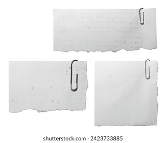 115直播平台全新上线,精彩内容抢先体验